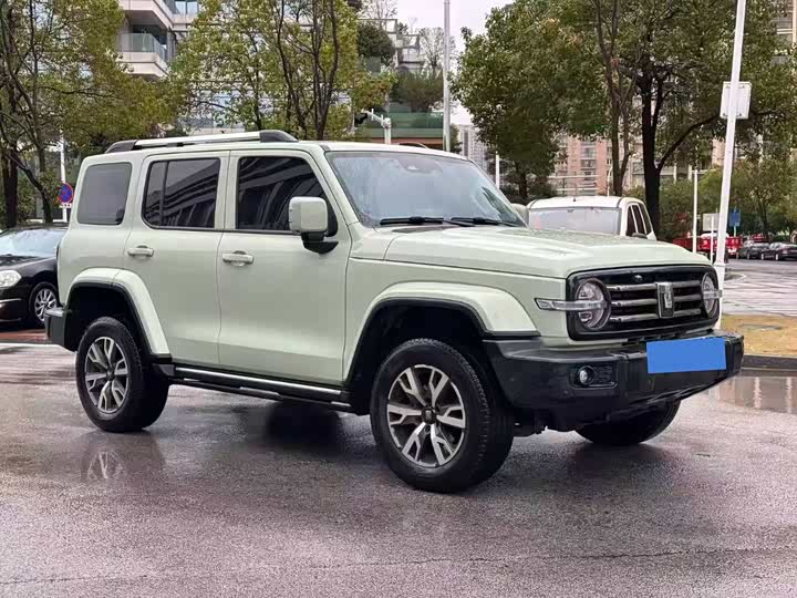 Фото 3 - Tank 300