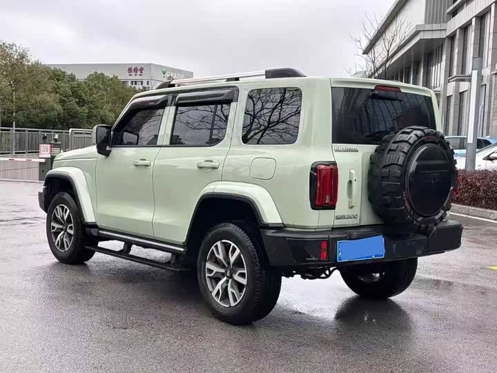 Фото 6 - Tank 300