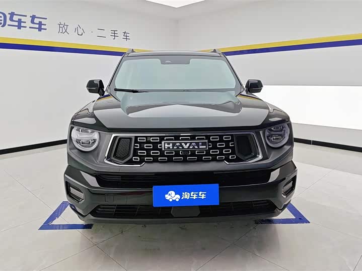 Фото 2 - Haval H-Dog