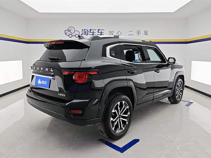 Фото 3 - Haval H-Dog