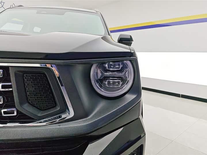 Фото 5 - Haval H-Dog