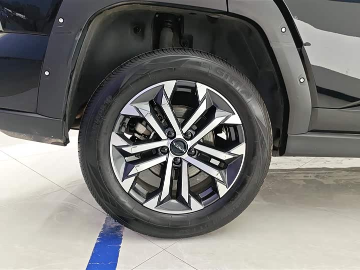 Фото 6 - Haval H-Dog