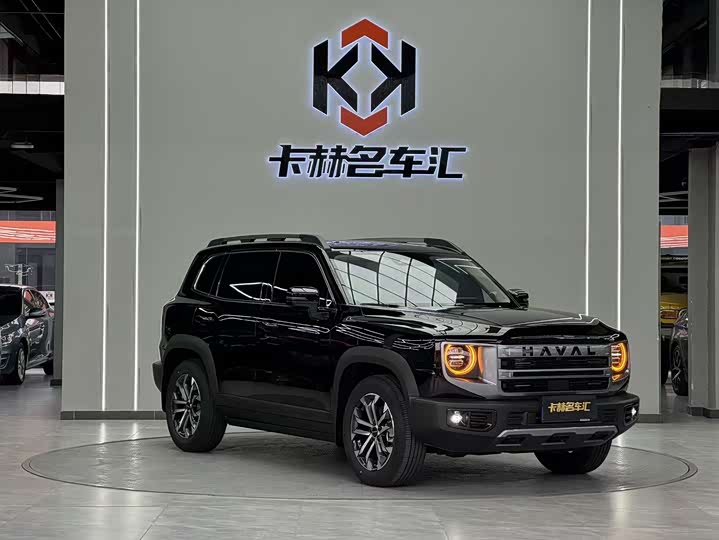 Фото 3 - Haval Dargo