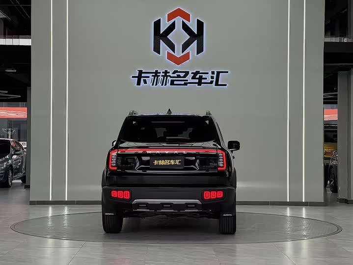 Фото 7 - Haval Dargo