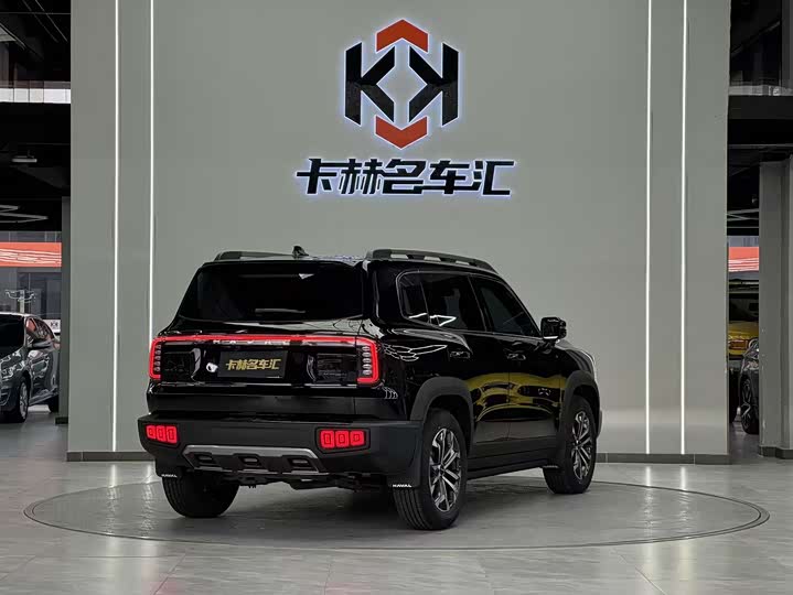 Фото 8 - Haval Dargo