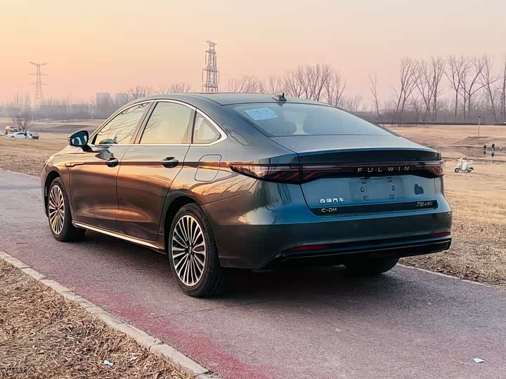 Фото 8 - Chery Fulwin A8L