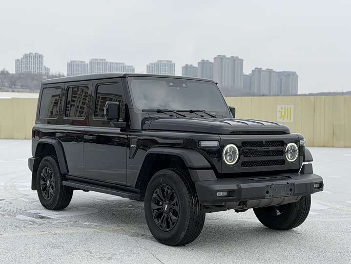 Фото 3 - BAW 212 T01