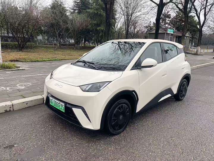 Photo 2 - BYD Seagull