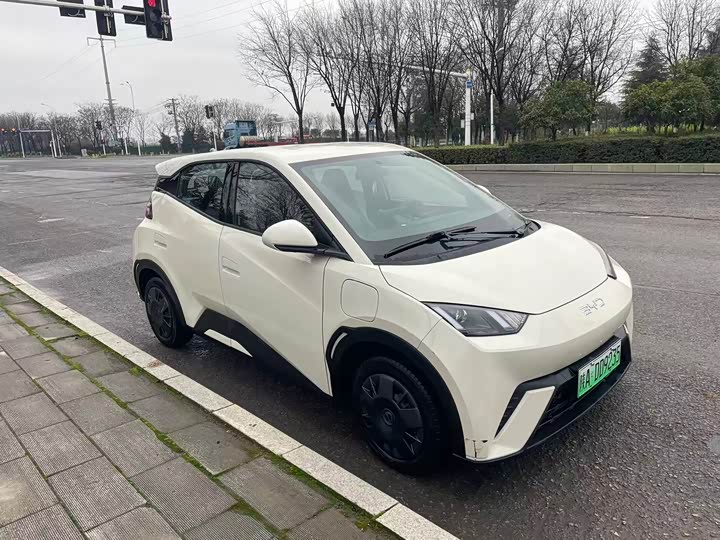 Photo 3 - BYD Seagull