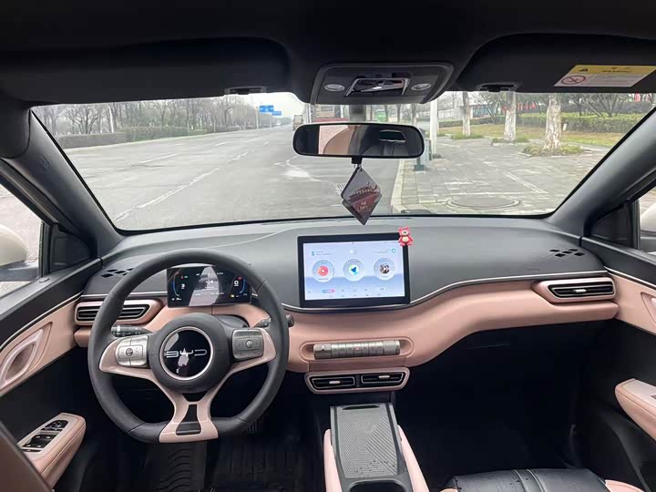 Photo 4 - BYD Seagull