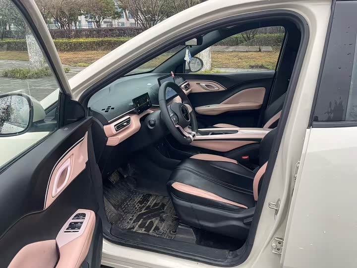 Photo 5 - BYD Seagull