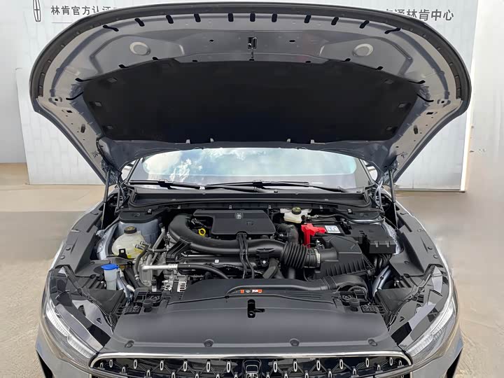 Photo 8 - Lincoln Z (Zephyr)