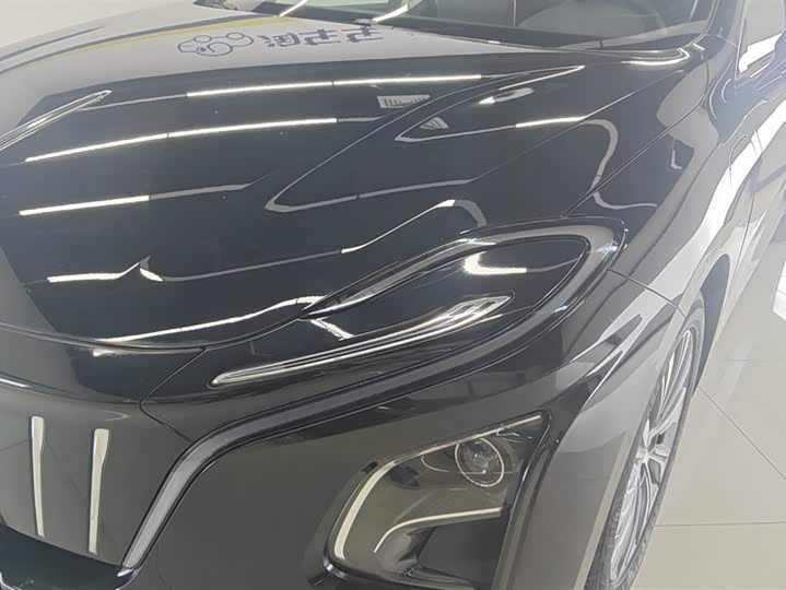 Фото 5 - Hongqi E-QM5