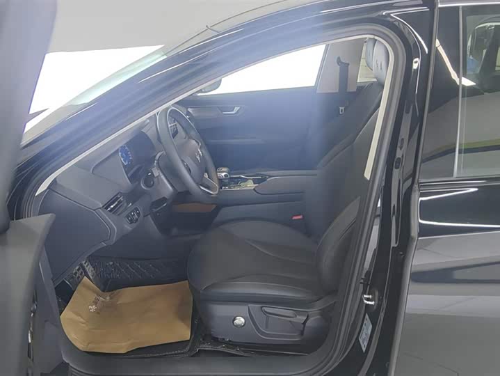 Фото 9 - Hongqi E-QM5