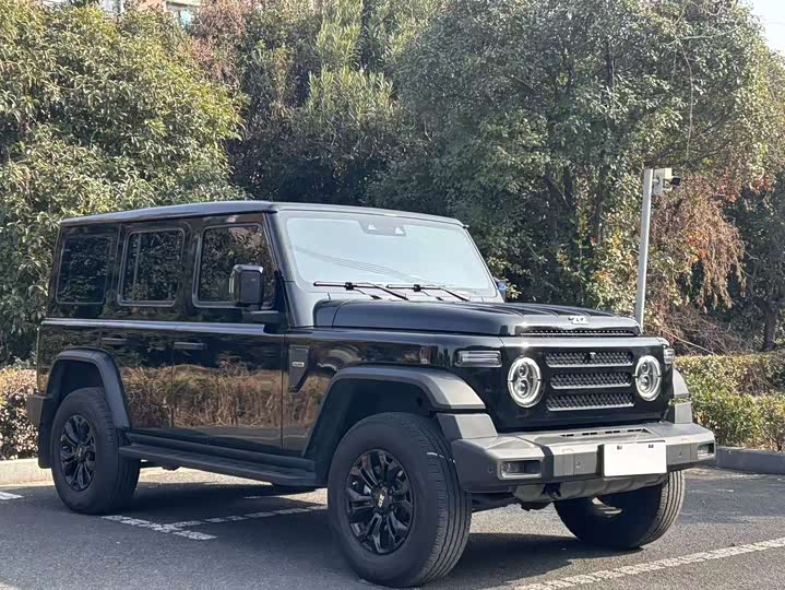 Фото 3 - BAW 212 T01