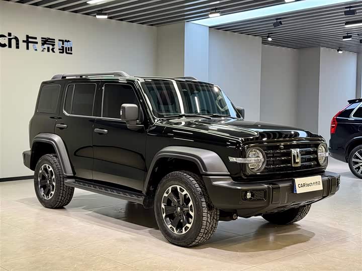 Фото 2 - Tank 300