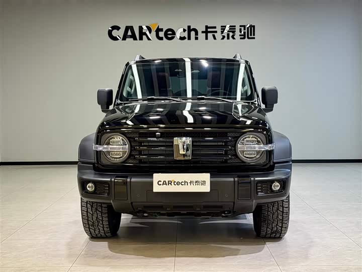 Фото 3 - Tank 300