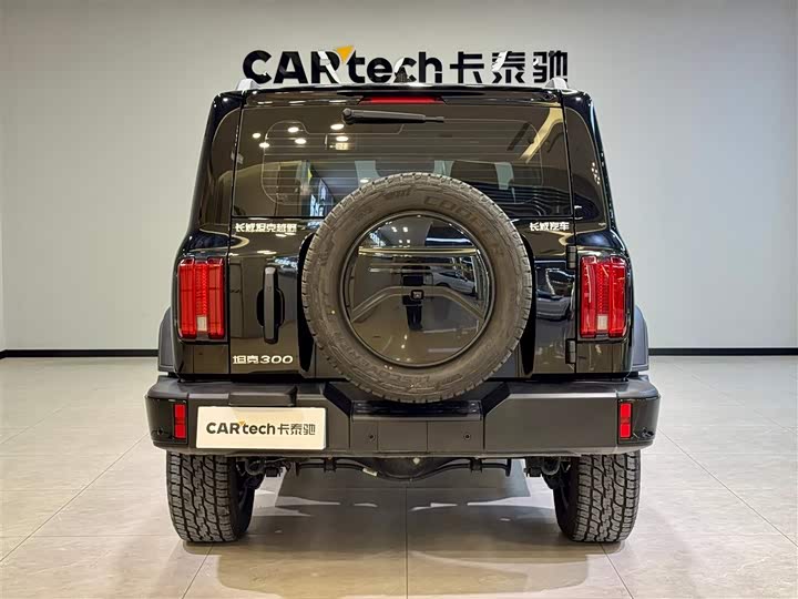 Фото 5 - Tank 300