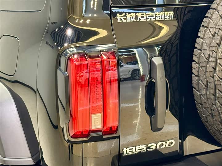 Фото 9 - Tank 300