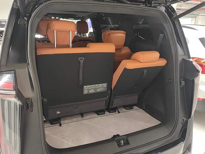 Фото 4 - GAC Trumpchi E9