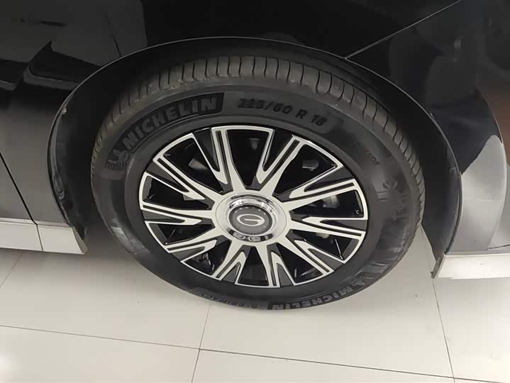 Фото 6 - GAC Trumpchi E9