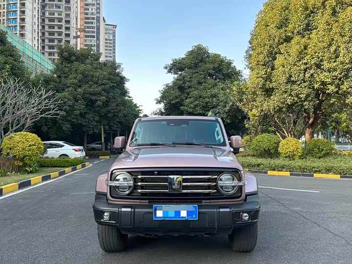 Фото 2 - Tank 300