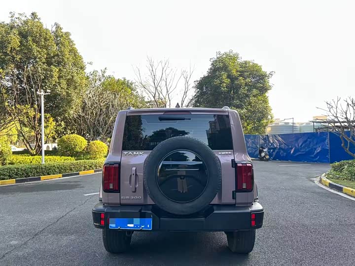 Фото 5 - Tank 300