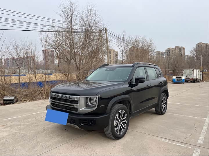 Фото 1 - Haval Dargo