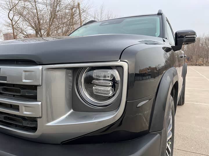 Фото 2 - Haval Dargo