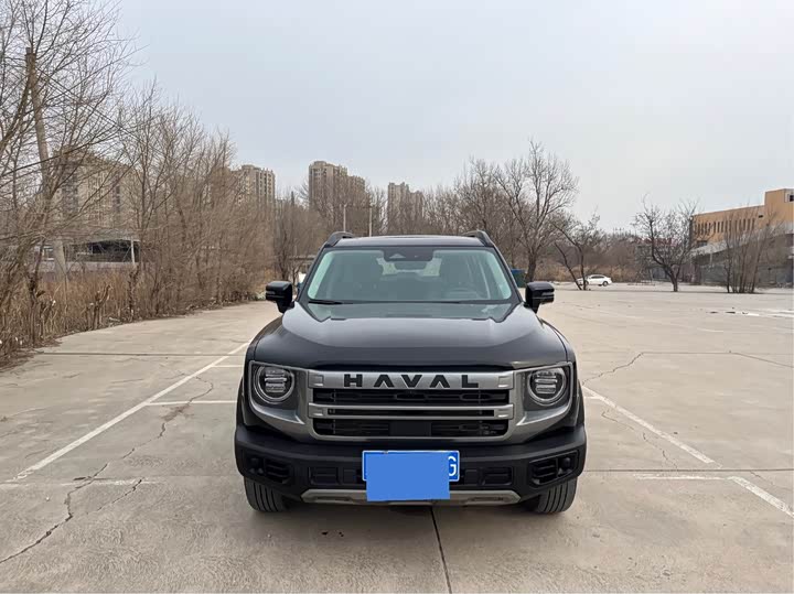 Фото 3 - Haval Dargo