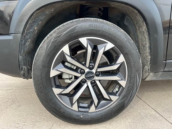 Фото 5 - Haval Dargo