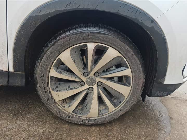 Фото 5 - BYD Song Plus Hybrid/EV