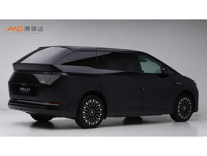 Фото 3 - XPeng X9