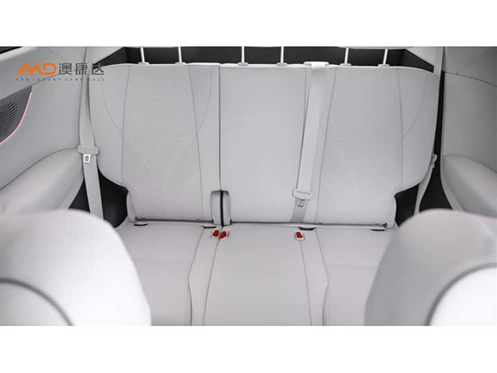 Фото 9 - XPeng X9