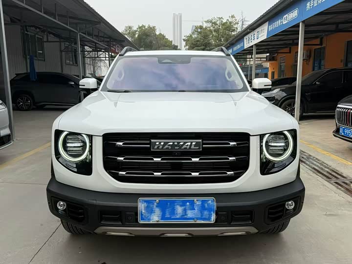 Фото 2 - Haval Dargo
