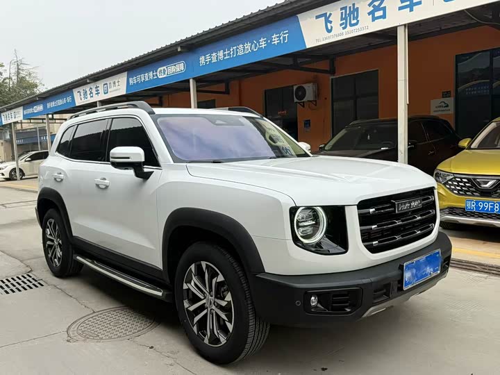 Фото 3 - Haval Dargo