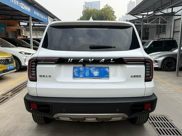 Фото 8 - Haval Dargo