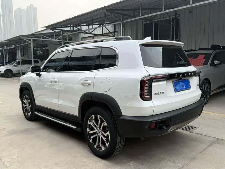 Фото 9 - Haval Dargo