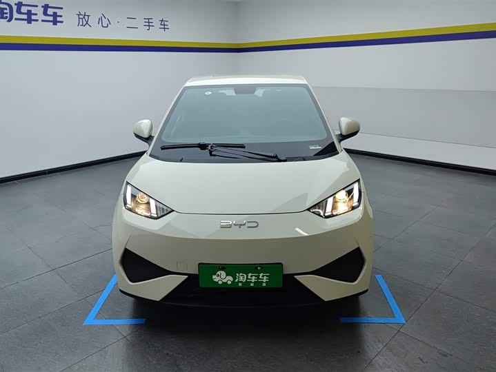 Фото 2 - BYD Seagull