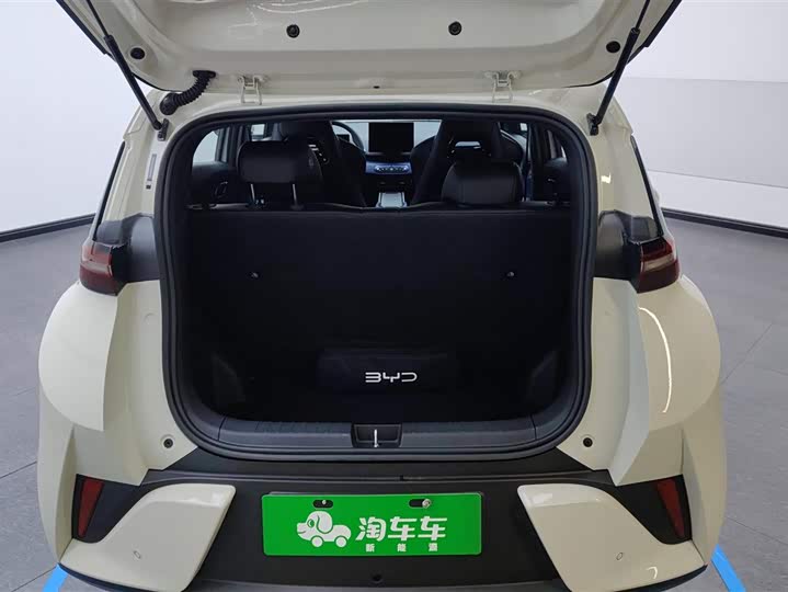 Фото 4 - BYD Seagull