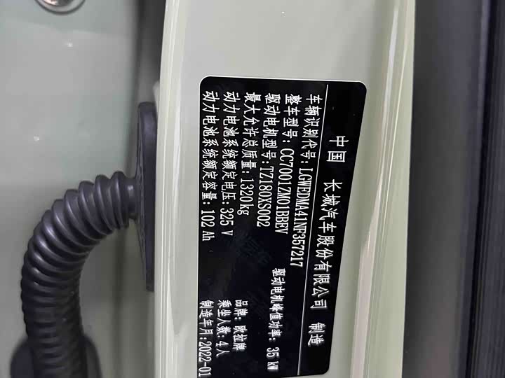 Фото 4 - Ora White Cat