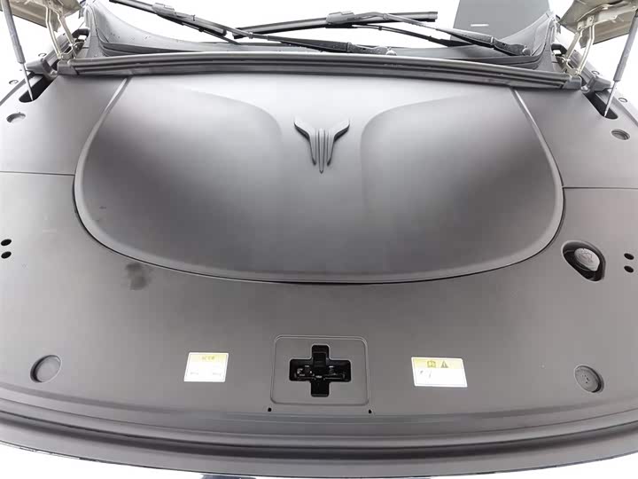 Photo 6 - Voyah Taishan