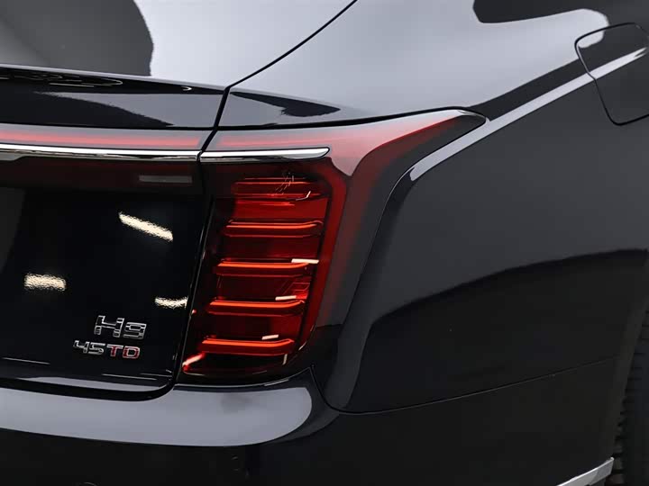 Фото 7 - Hongqi H9