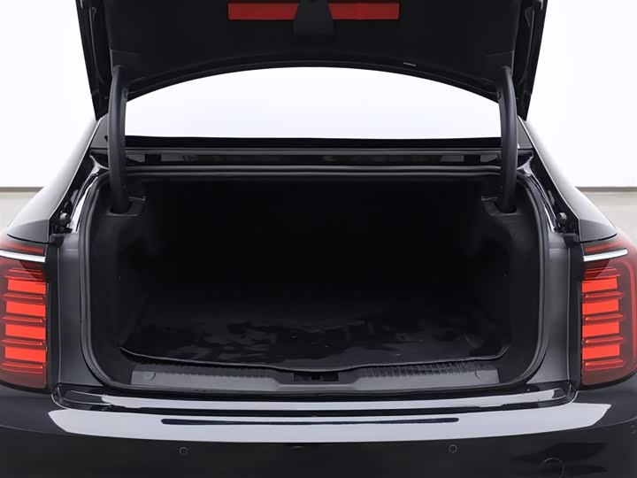 Фото 8 - Hongqi H9