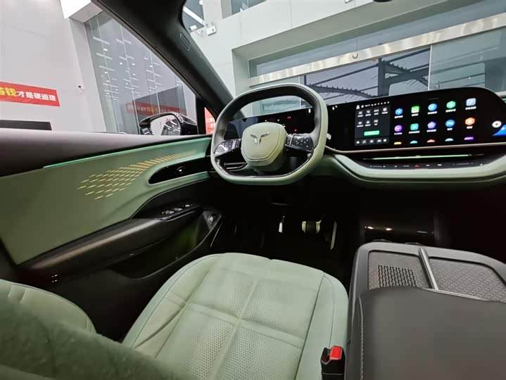 Фото 6 - Hongqi EH7