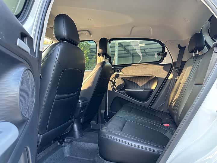 Photo 5 - Ora Black Cat