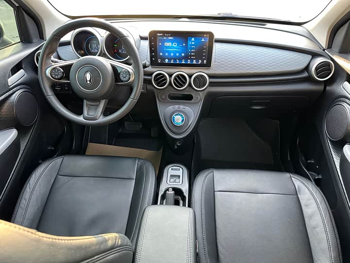 Photo 8 - Ora Black Cat