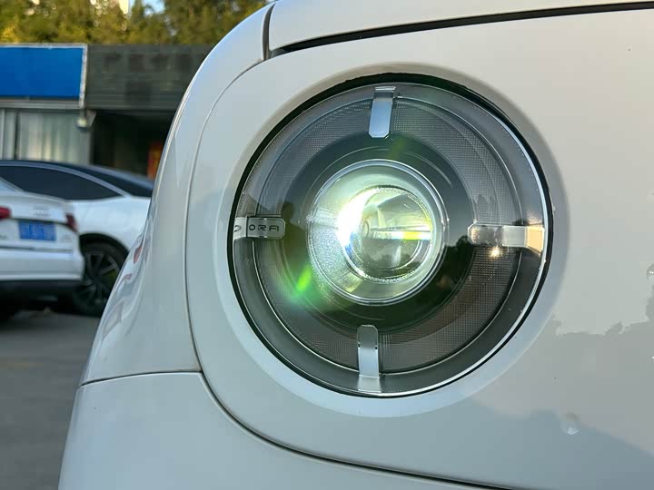 Photo 9 - Ora Black Cat