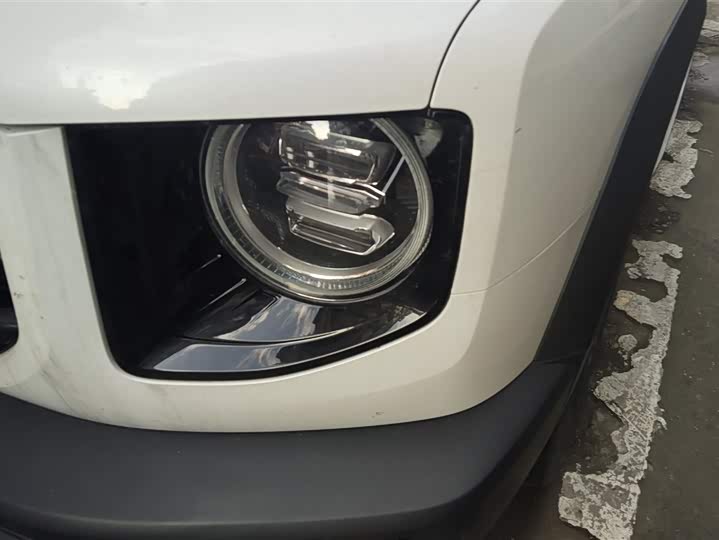 Фото 5 - Haval Dargo