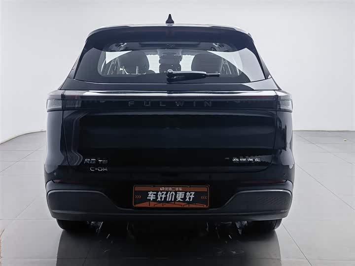 Фото 4 - Chery Fulwin T8